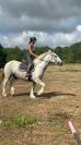 Cheval Porteur