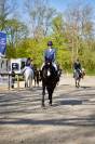 JHONNY DU THAR &ndash; Hongre SF &ndash; 7 ans &ndash; 1,73 m