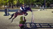 JHONNY DU THAR &ndash; Hongre SF &ndash; 7 ans &ndash; 1,73 m