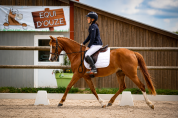 Ponette - AES - 4 ans - CSO - CCE - Dressage - France