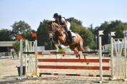 Cavali&egrave;re maison/concours, groom
