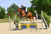 Cavali&egrave;re maison/concours, groom