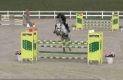 Cavalla Francese 10 anni