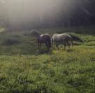 &Agrave; louer &ndash; Secteur Entre-deux-Mers / Le Pout (Gironde - 