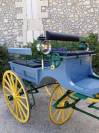 Coche enganches - Carruaje con banqueta - Otra marca - Phaeton 