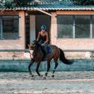 Poney &agrave; vendre 