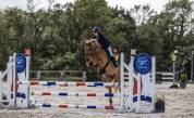 Poney de sport &agrave; louer/confier 