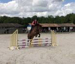 Jument 8 ans SF