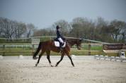 HONGRE 14 ANS POLYVALENT 