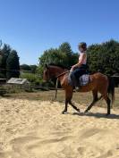 Poney cso /cce 