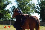 ponette d'avenir 