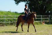 ponette d'avenir 
