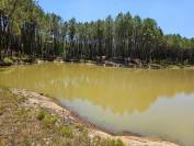 Sur 15 hectares bois&eacute;s et clos, proche Bordeaux