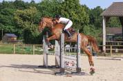 Jument 5 ans Alezane 1m70
