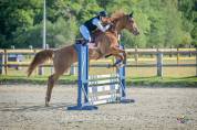 Jument 5 ans Alezane 1m70