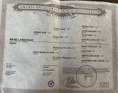 Quarter horse reining hongre 8ans 