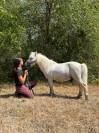 gentil poney shetland