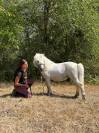 gentil poney shetland