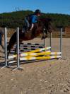 Poney D &agrave; vendre 