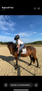 Poney D &agrave; vendre 