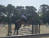 Ruin Franse rijpony PFS Te koop 2022 Donker bruin / bai ,  JACKSON ST HYMER