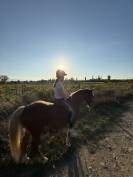  Demi-pension pour ma gentille ponette 