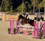 Jument SF 11 ans pour Amateur Elite