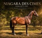 Niagara des cimes