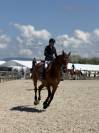 Jument de Sport CSO 