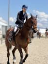 Jument de Sport CSO 