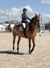 Jument de Sport CSO 