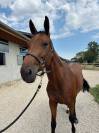 Lilith des lilas 5ans 