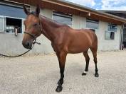 Lilith des lilas 5ans 