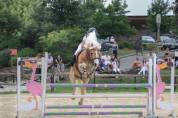 Poneys &agrave; louer 