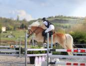 Poneys &agrave; louer 
