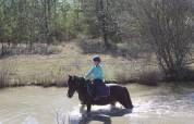 Ponette de 16ans 