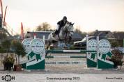 Springpaard, ruin, 10 j, lief karakter