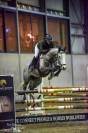 Springpaard, ruin, 10 j, lief karakter