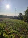 ? LOCATION D&rsquo;UN TERRAIN POUR CHEVAUX &ndash; COUZON-AU-MONT-