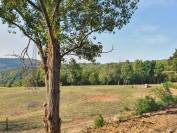 ? LOCATION D&rsquo;UN TERRAIN POUR CHEVAUX &ndash; COUZON-AU-MONT-