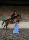 Frenchie - Pur Sang Anglais - 6 ans