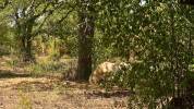 Lot : propri&eacute;t&eacute; de 7ha