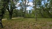 Lot : propri&eacute;t&eacute; de 7ha