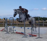 HONGRE ZANGERSHEIDE CSO ou DRESSAGE