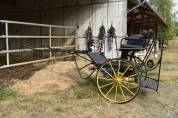 Voiture d'attelage 2 roues &ndash; Voie 125cm (Normandie)