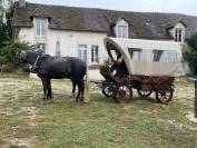 A vendre chariot western / camping-car