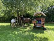 A vendre chariot western / camping-car