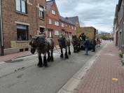 Jument trait belge