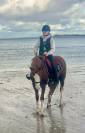 Ponette PFS 9 ans - 1,42m - potentiel P &Eacute;lite