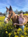 Ponette PFS 9 ans - 1,42m - potentiel P &Eacute;lite